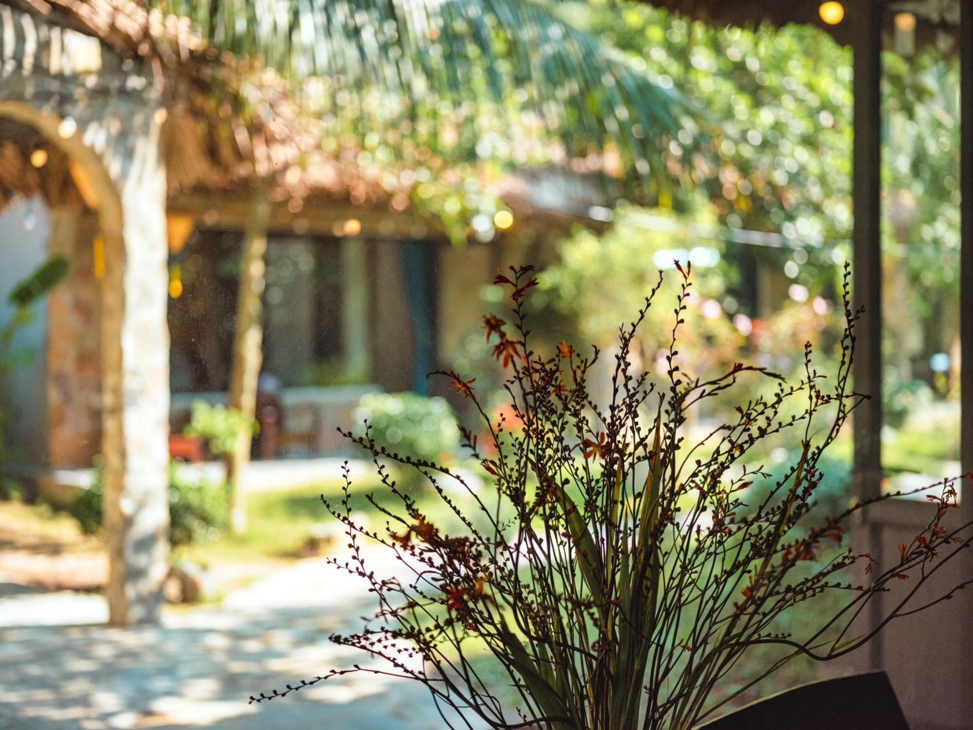 Cozy Beer Garden Homestay Ninh Binh Luaran gambar